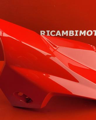 CARENA ANTERIORE SX BMW K 1300 R K1300R