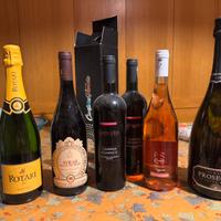 Stock 14 bottiglie vino e spumante