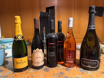 Stock 14 bottiglie vino e spumante