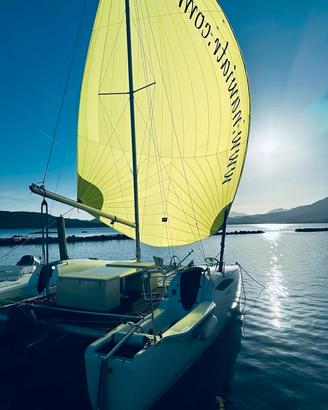 Catamarano a vela in carbonio noleggio