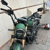 Benelli leoncino 800