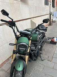 Benelli leoncino 800