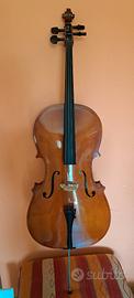 Violoncello 3/4