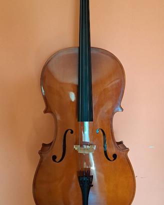 Violoncello 3/4