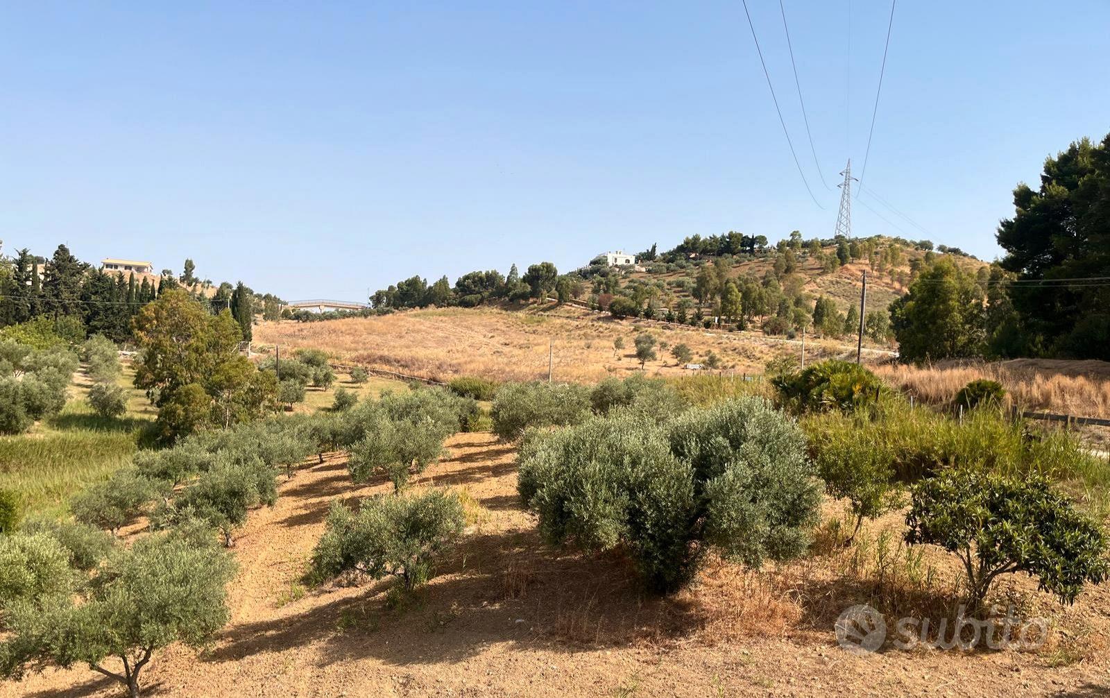 Terreno agricolo non edificabile - Vista 5