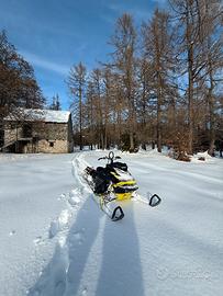 Ski doo summit