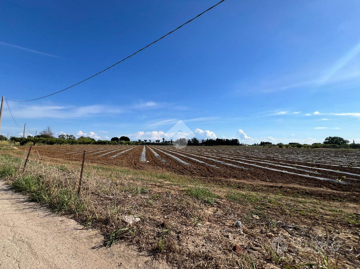 TER. AGRICOLO A MESAGNE - Vista 2
