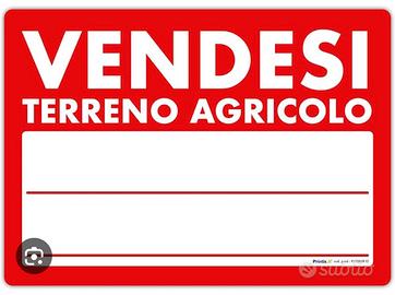 Terreno agricolo