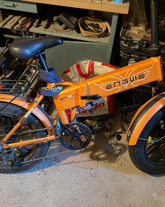 BICI ELETTRICA