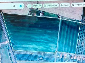 11 ha di terreno fronte paese