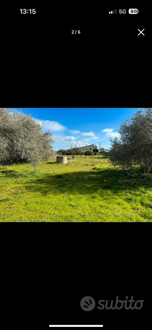 Terreno agricolo - Vista 5