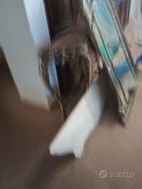 specchio antica di legno anche marmo bianco 