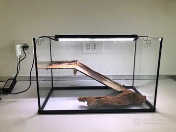 Vasca per tartarughe o rettili e Accessori
