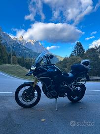Triumph Tiger rally Explorer