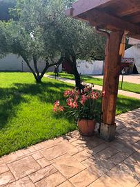 Casa vacanza Anzio