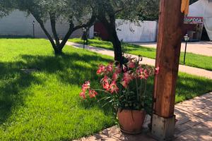 Casa vacanza Anzio