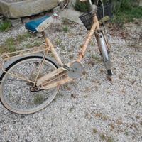 Bicicletta pieghevole 