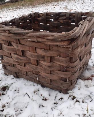 cesta sporta cestone
