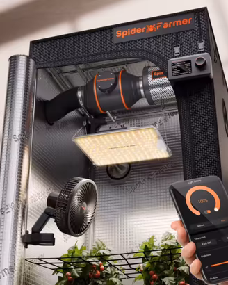 Grow box