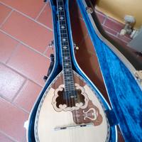 Bouzouki greco Matsikas