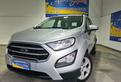 FORD EcoSport 1.5 Ecoblue 100 CV S&S Business *O