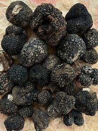 Tartufo estivo