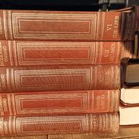 DIZIONARIO ENCICLOPEDICO ITALIANO TRECCANI