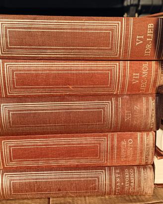 DIZIONARIO ENCICLOPEDICO ITALIANO TRECCANI