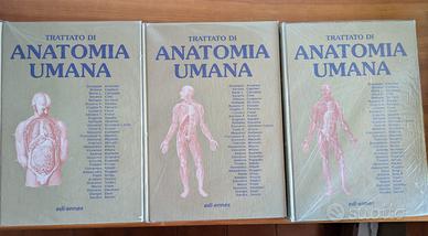 Trattato di anatomia umana Anastasi - Medicina