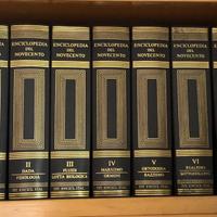 Enciclopedia Treccani  del Novecento