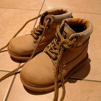 Caterpillar Colorado