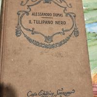 tulipano nero di dumas