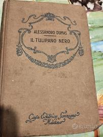 tulipano nero di dumas
