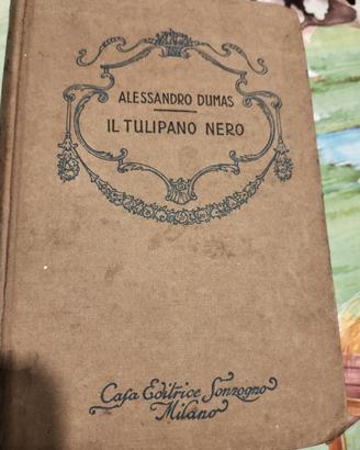 tulipano nero di dumas