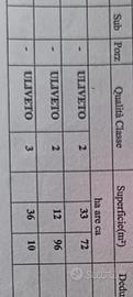 Terreno uliveto