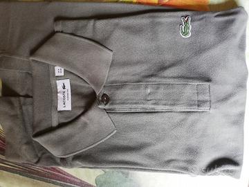 polo Lacoste 