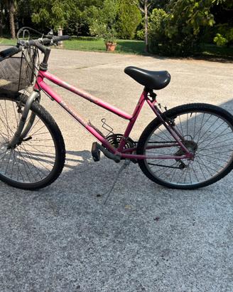 Bicicletta