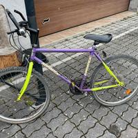 Mountain bike