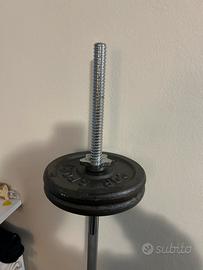 palestra bilanciere + dischi/pesi