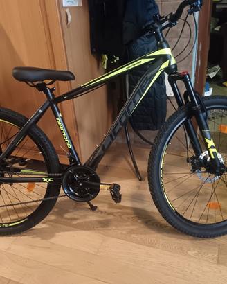 bicicletta