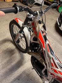 Beta 300 2t