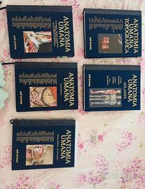 Set completo Anatomia Anastasi