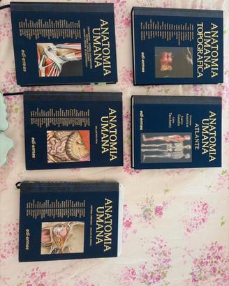 Set completo Anatomia Anastasi