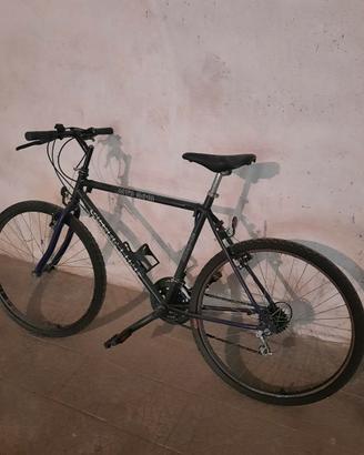 Mountain bike per adulto