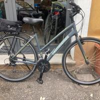 Bicicletta Trekking Fuji