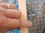Immagine 5
