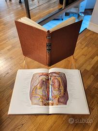 Pernkopf - Anatomia + omaggi a scelta