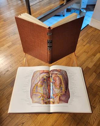 Pernkopf - Anatomia + omaggi a scelta