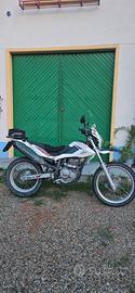 Beta alp 4.0