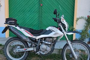 Beta alp 4.0
